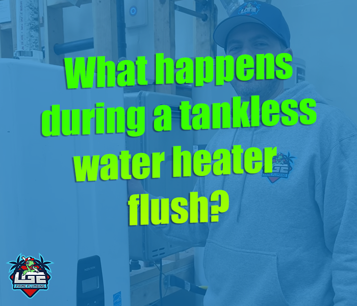 tankless water heater flush