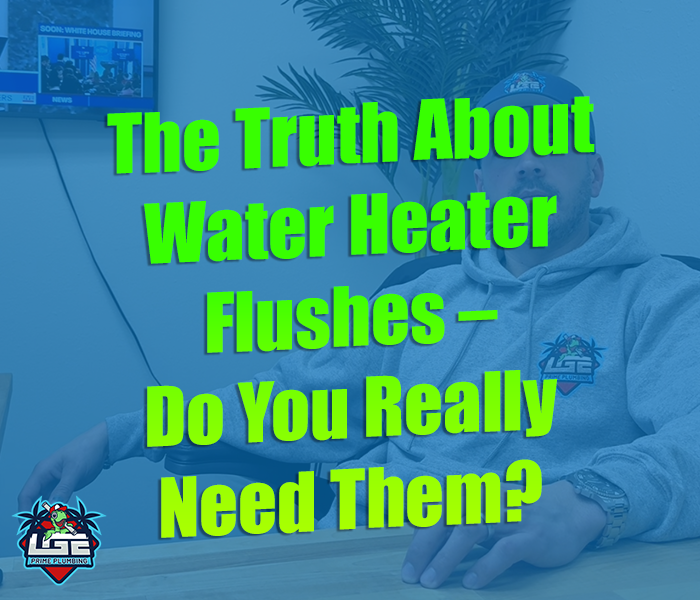 water heater fllushes